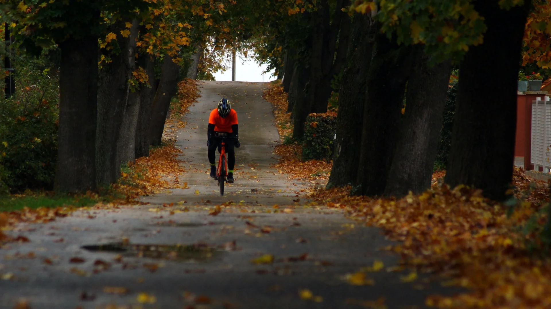 cycling